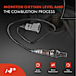 APOS0907 4 Pcs Upstream & Downstream O2 Oxygen Sensor