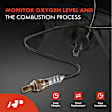 APOS0909 2 Pcs Upstream & Downstream O2 Oxygen Sensor