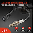 APOS0913 2 Pcs Upstream & Downstream O2 Oxygen Sensor