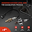 APOS0914 2 Pcs Upstream & Downstream O2 Oxygen Sensor