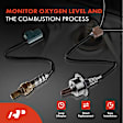 APOS0917 2 Pcs Upstream & Downstream O2 Oxygen Sensor