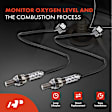 APOS0920 2 Pcs Downstream O2 Oxygen Sensor
