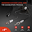 APOS0921 4 Pcs Upstream & Downstream O2 Oxygen Sensor
