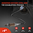 APOS0922 2 Pcs Downstream Left & Right O2 Oxygen Sensor