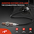 APOS0929 2 Pcs Upstream & Downstream O2 Oxygen Sensor