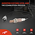 APOS0934 2 Pcs Upstream Front & Rear O2 Oxygen Sensor