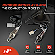 APOS0939 2 Pcs Upstream & Downstream O2 Oxygen Sensor