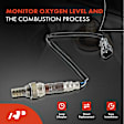 APOS0940 2 Pcs Upstream & Downstream O2 Oxygen Sensor