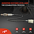 APOS0944 2 Pcs Downstream Front & Rear O2 Oxygen Sensor