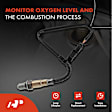 APOS0949 2 Pcs Upstream & Downstream O2 Oxygen Sensor