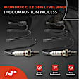 APOS0950 2 Pcs Downstream Left & Right O2 Oxygen Sensor