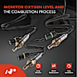 APOS0951 4 Pcs Upstream & Downstream O2 Oxygen Sensor