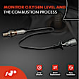 APOS0955 2 Pcs Downstream Left & Right O2 Oxygen Sensor