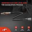 APOS0957 2 Pcs O2 Oxygen Sensor