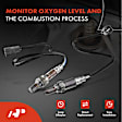 APOS0958 2 Pcs Upstream & Downstream O2 Oxygen Sensor
