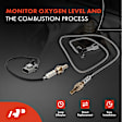 APOS0960 2 Pcs Upstream & Downstream O2 Oxygen Sensor
