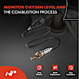 APOS0971 2 Pcs Upstream Left & Right O2 Oxygen Sensor