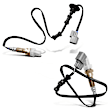 APOS0976 2 Pcs Upstream & Downstream O2 Oxygen Sensor
