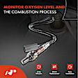 APOS0980 2 Pcs Upstream & Downstream O2 Oxygen Sensor