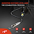 APOS0990 4 Pcs Upstream & Downstream O2 Oxygen Sensor