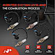 APOS0994 4 Pcs Upstream & Downstream O2 Oxygen Sensor