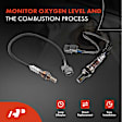 APOS1001 2 Pcs Upstream & Downstream O2 Oxygen Sensor