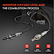 APOS1003 2 Pcs Upstream & Downstream O2 Oxygen Sensor