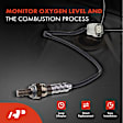 APOS1018 2 Pcs Upstream Front & Rear O2 Oxygen Sensor