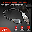 APOS1019 2 Pcs Upstream Front & Rear O2 Oxygen Sensor