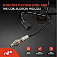 APOS1023 Upstream O2 Oxygen Sensor