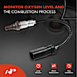 APOS1027 2 Pcs Upstream Left & Right O2 Oxygen Sensor