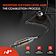 APOS1029 2 Pcs Downstream Left & Right O2 Oxygen Sensor