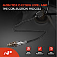 APOS1030 2 Pcs Downstream Left & Right O2 Oxygen Sensor