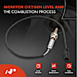 APOS1031 2 Pcs Downstream Left & Right O2 Oxygen Sensor