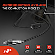 APOS1032 2 Pcs Downstream Left & Right O2 Oxygen Sensor