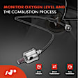 APOS1033 2 Pcs Downstream Left & Right O2 Oxygen Sensor