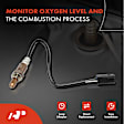 APOS1038 2 Pcs O2 Oxygen Sensor