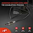 APOS1041 2 Pcs Upstream Left & Right O2 Oxygen Sensor
