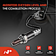 APOS1042 2 Pcs Upstream Left & Right O2 Oxygen Sensor