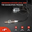 APOS1043 2 Pcs Upstream Left & Right O2 Oxygen Sensor