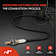 APOS1049 O2 Oxygen Sensor