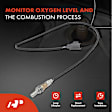 APOS1050 Downstream O2 Oxygen Sensor