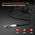 APOS1051 O2 Oxygen Sensor