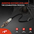 APOS1055 O2 Oxygen Sensor