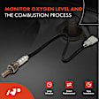 APOS1057 O2 Oxygen Sensor