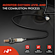 APOS1059 O2 Oxygen Sensor