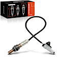 APOS1064 O2 Oxygen Sensor