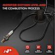 APOS1070 Downstream O2 Oxygen Sensor