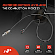 APOS1086 Downstream Left or Right O2 Oxygen Sensor