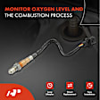 APOS1090 O2 Oxygen Sensor